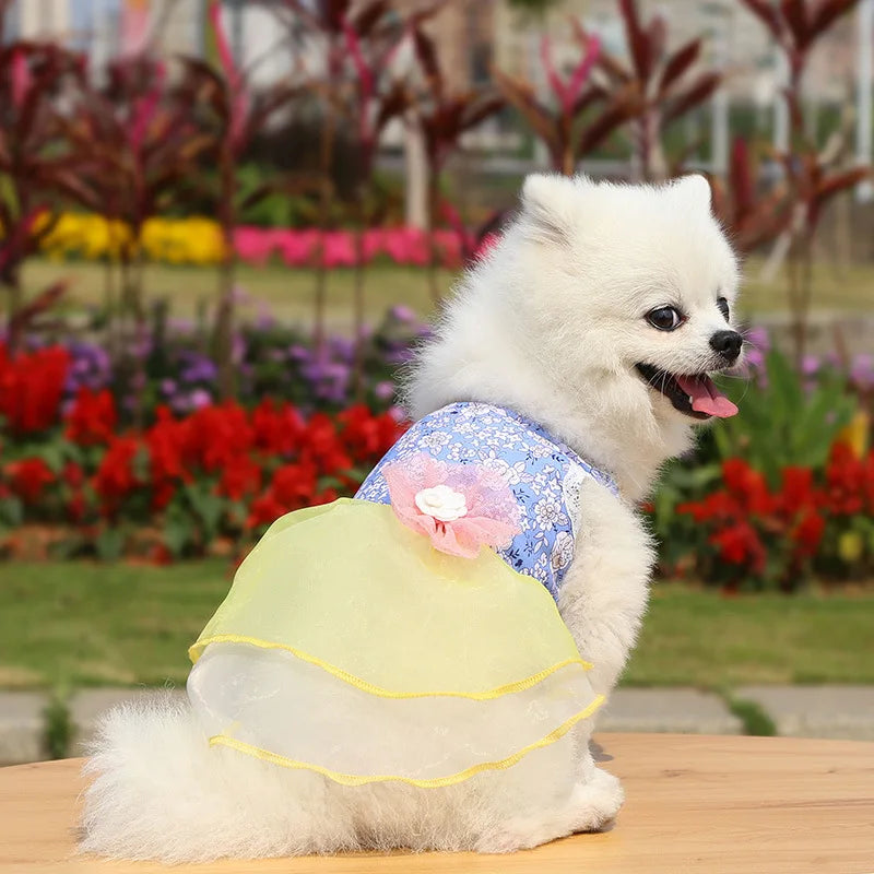 Dress for Dog Pets Clothes Chihuahua Wedding Dress Skirt Cloth Accessory Dog Pet Dress Supplies Hanbok Cat Costume