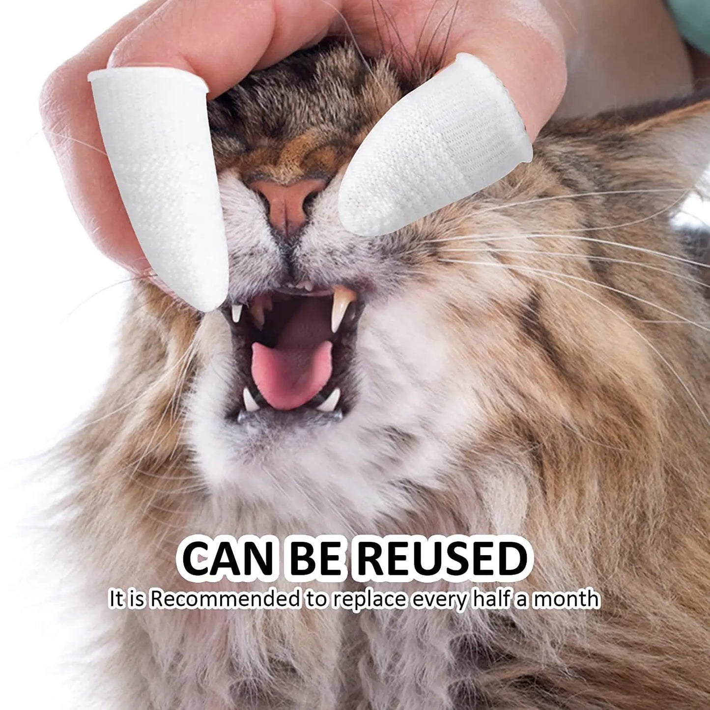 10pcs Pet Two-finger Brushing Finger Cots Puppy Teeth Oral Cleaning Tool Kitten Finger Toothbrush Pets Care Accessories Supplies