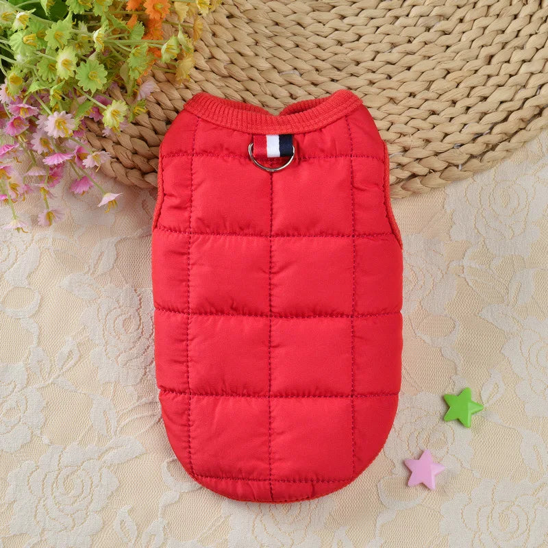 Winter Warm Dog Coat – Windproof Padded Jacket for Small Dogs, & Cats