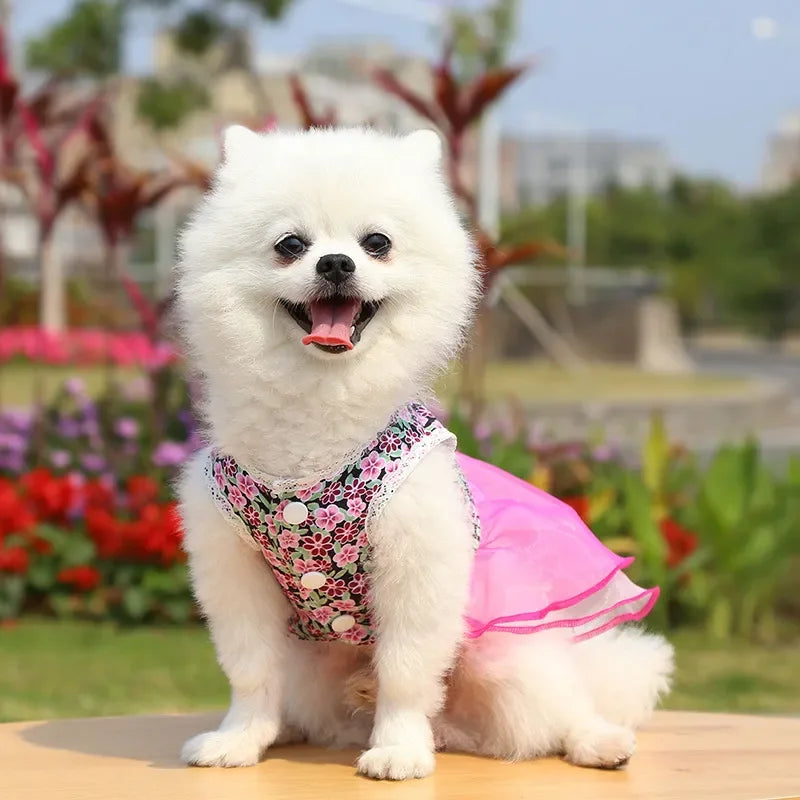 Dress for Dog Pets Clothes Chihuahua Wedding Dress Skirt Cloth Accessory Dog Pet Dress Supplies Hanbok Cat Costume