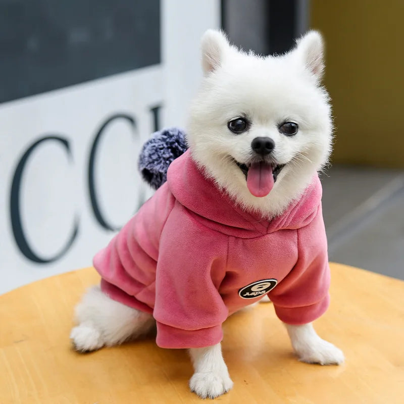 Pet Dog Cat Clothes Fleece Hooded Hairball Coat Jacket Winter Kitty Small Medium Dogs Cats Cool Pajamas Chihuahua