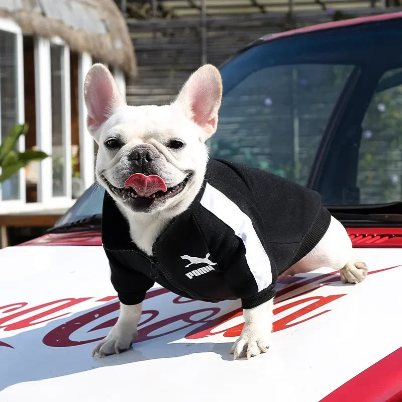 Pet Sports Clothing For Small Medium Dogs Plus Velvet Cats Zipper Leisure Sweater Coat French Bulld