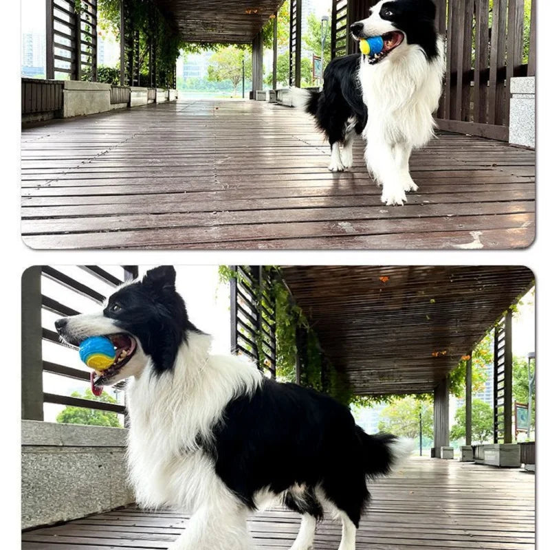 Bite-resistant Pet Dog Toy Rubber Ball Beef-flavored Elastic Ball To Prevent Dog From Destroying Things Dog Training Supply