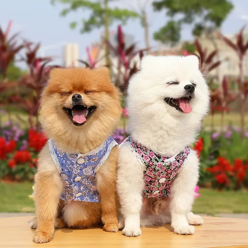 Dress for Dog Pets Clothes Chihuahua Wedding Dress Skirt Cloth Accessory Dog Pet Dress Supplies Hanbok Cat Costume