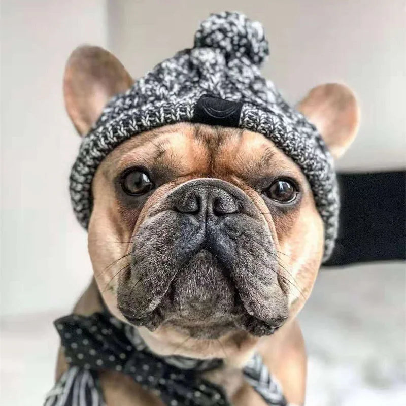 Winter Warm Dog Hats Windproof Knitting French Bulldog Hat For Dogs Chihuahua Hat Fluffy Ball Pet Hat Puppy Accessories
