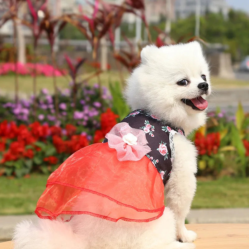 Dress for Dog Pets Clothes Chihuahua Wedding Dress Skirt Cloth Accessory Dog Pet Dress Supplies Hanbok Cat Costume