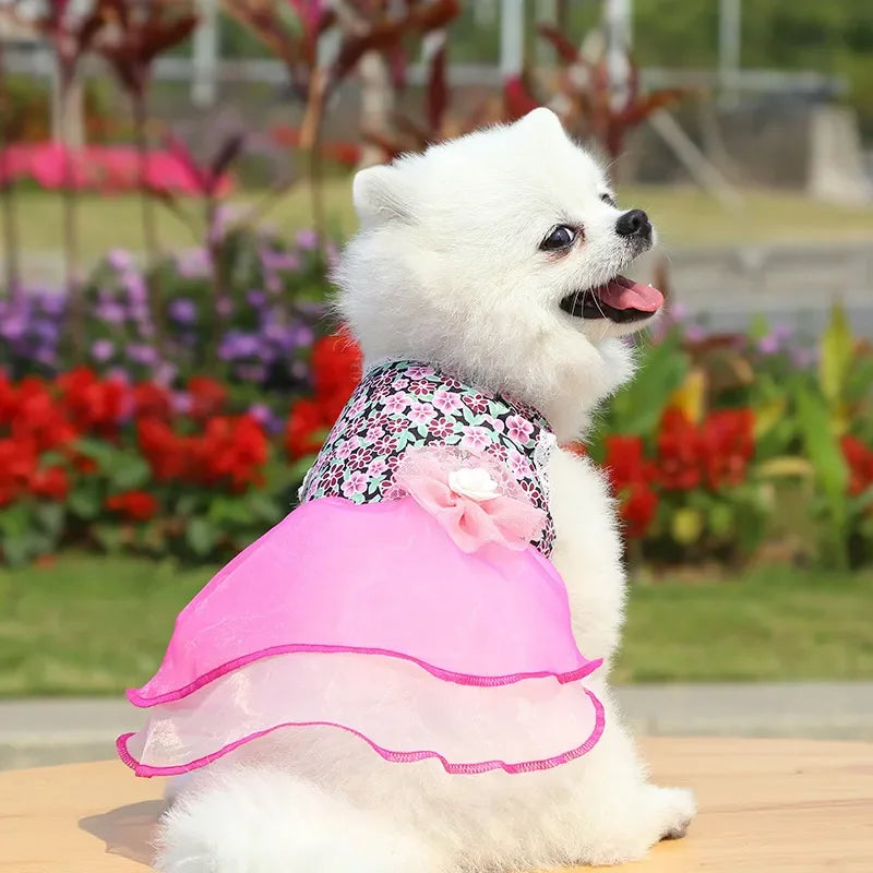 Dress for Dog Pets Clothes Chihuahua Wedding Dress Skirt Cloth Accessory Dog Pet Dress Supplies Hanbok Cat Costume
