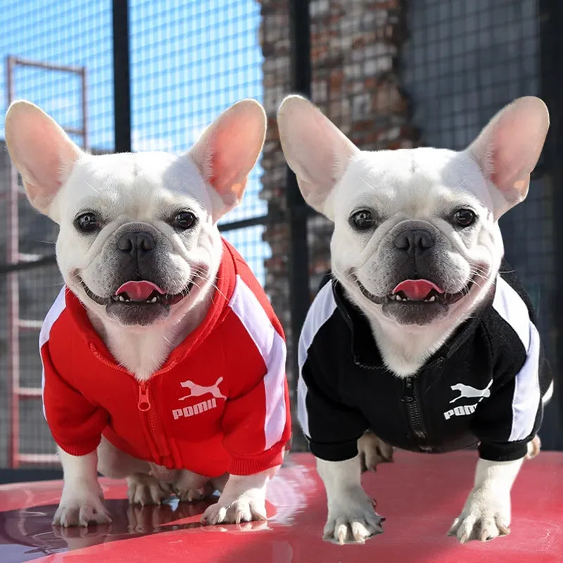 Pet Sports Clothing For Small Medium Dogs Plus Velvet Cats Zipper Leisure Sweater Coat French Bulld