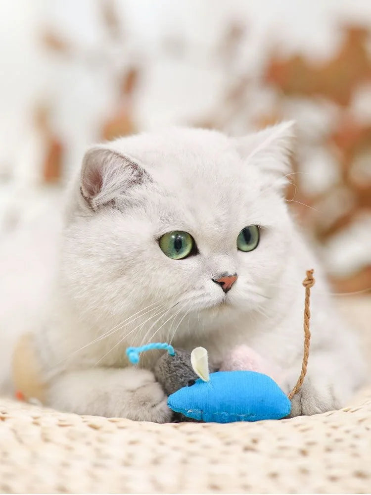 Pet Toy Catnip Mice Cats Toys Fun Plush Mouse Cat Toy For Kitten Colorful Cute Plush Interactive False Mouse Pet Cat Accessories