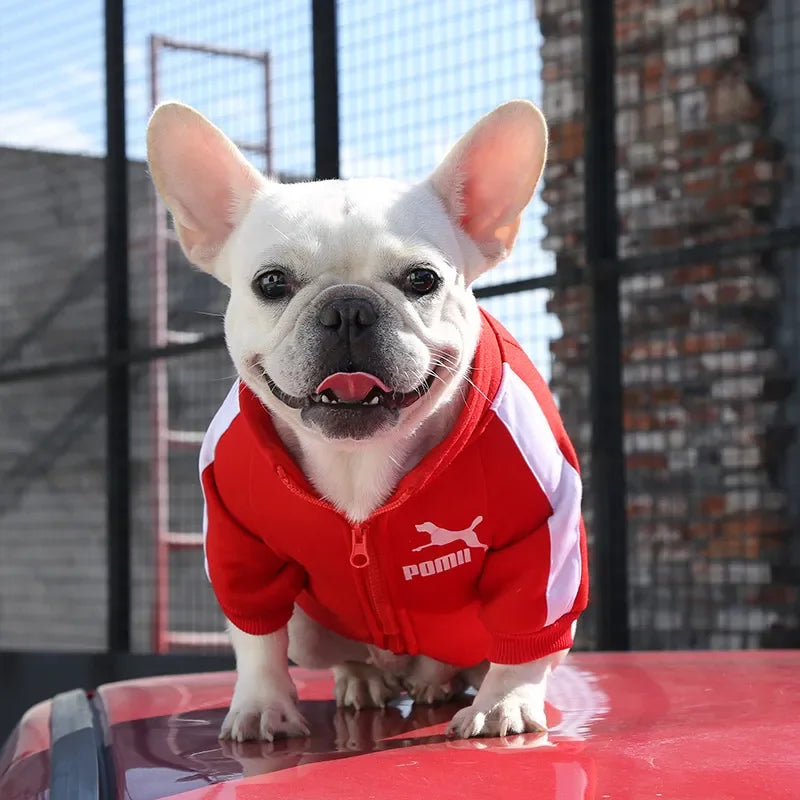 Pet Sports Clothing For Small Medium Dogs Plus Velvet Cats Zipper Leisure Sweater Coat French Bulld