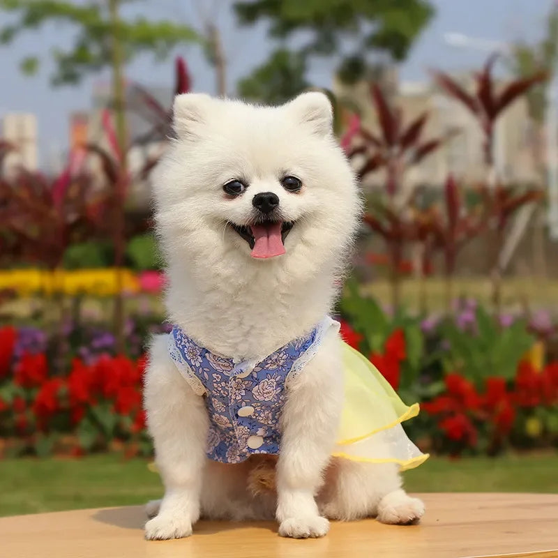 Dress for Dog Pets Clothes Chihuahua Wedding Dress Skirt Cloth Accessory Dog Pet Dress Supplies Hanbok Cat Costume