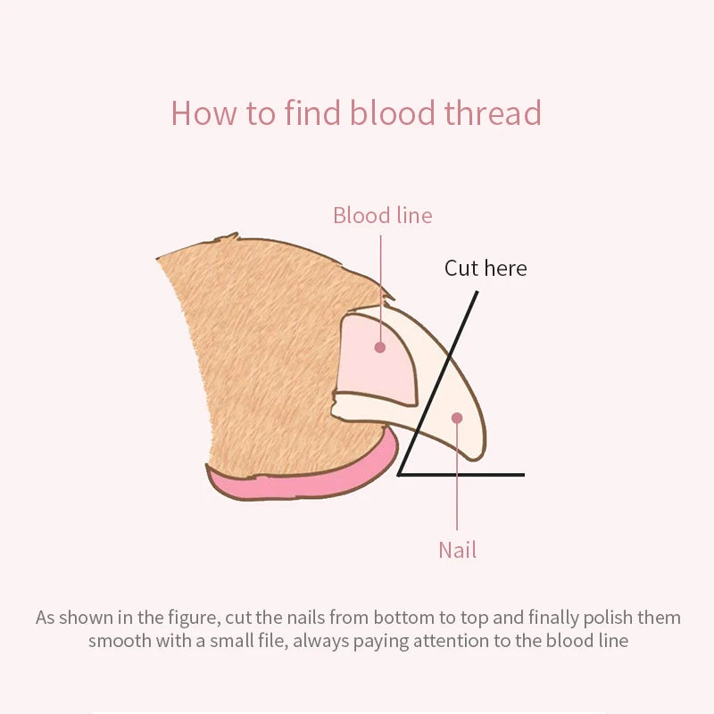Pet Nail Clipper with Filer – Professional Grooming Tool for Cats & Dogs, Safe and Easy Nail Trimming.