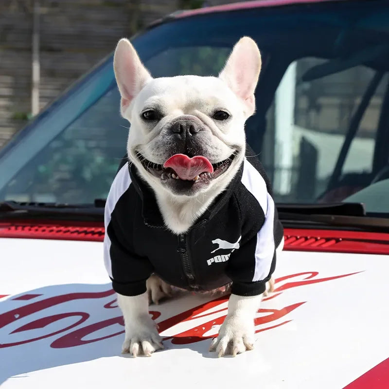 Pet Sports Clothing For Small Medium Dogs Plus Velvet Cats Zipper Leisure Sweater Coat French Bulld