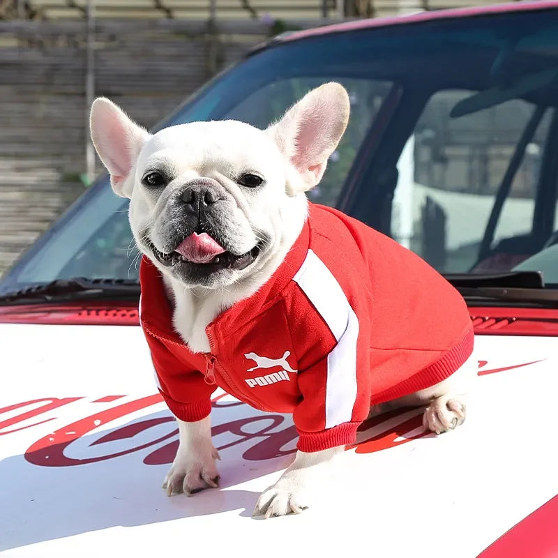 Pet Sports Clothing For Small Medium Dogs Plus Velvet Cats Zipper Leisure Sweater Coat French Bulld