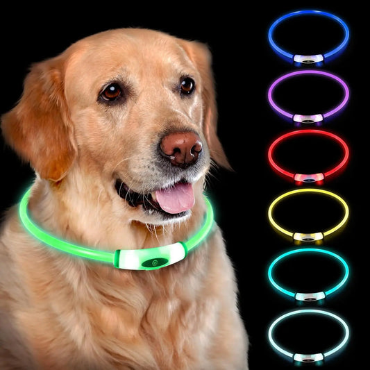 Led Dog Collar Luminous Usb Cat Dog Collar 3 Modes Led Light Glowing Loss Prevention LED Collar For Dogs Pet Dog Accessories