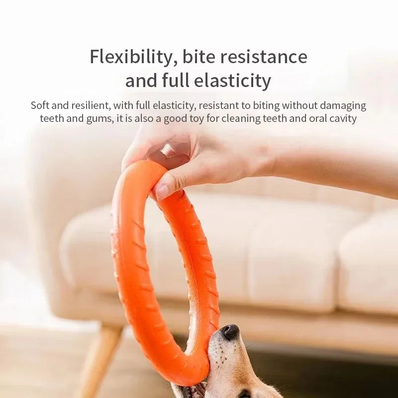 Dog Toys Pet Flying Discs EVA Dog Training Ring Puller Resistant Toys For Dogs Floating Puppy Bite Ring Toy Interactive