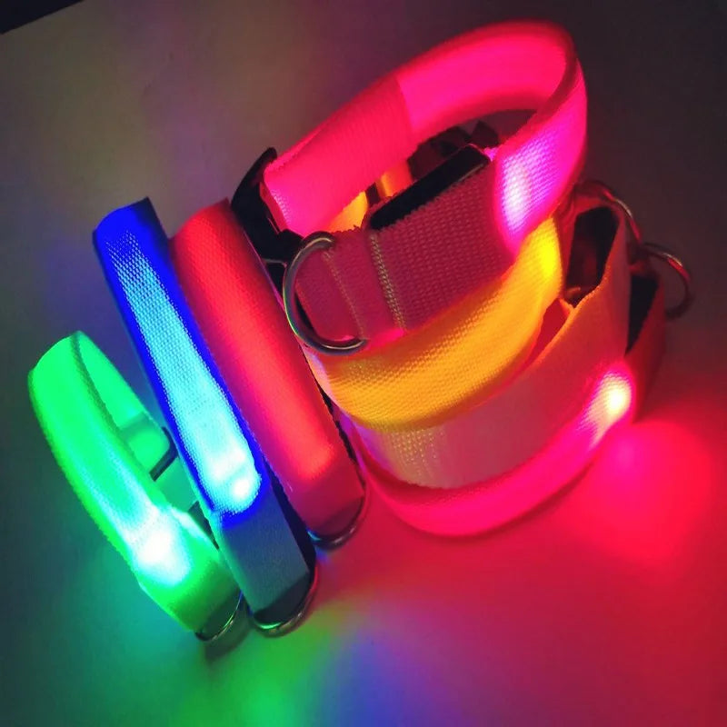 LED Dog Collar Dog Safety Night Light Flashing Necklace Fluorescent Collars Pet Supplies  collar LED lights up
