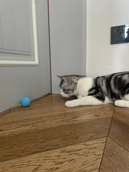 Cat Interactive Ball Smart Pet Cat Toys Indoor Automatic Rolling Magic Ball Electronic Interactive Cat Toy Cat Game Accessories