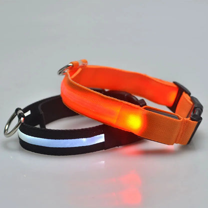 LED Dog Collar Dog Safety Night Light Flashing Necklace Fluorescent Collars Pet Supplies  collar LED lights up
