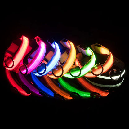 LED Dog Collar Dog Safety Night Light Flashing Necklace Fluorescent Collars Pet Supplies  collar LED lights up