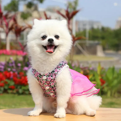 Dress for Dog Pets Clothes Chihuahua Wedding Dress Skirt Cloth Accessory Dog Pet Dress Supplies Hanbok Cat Costume