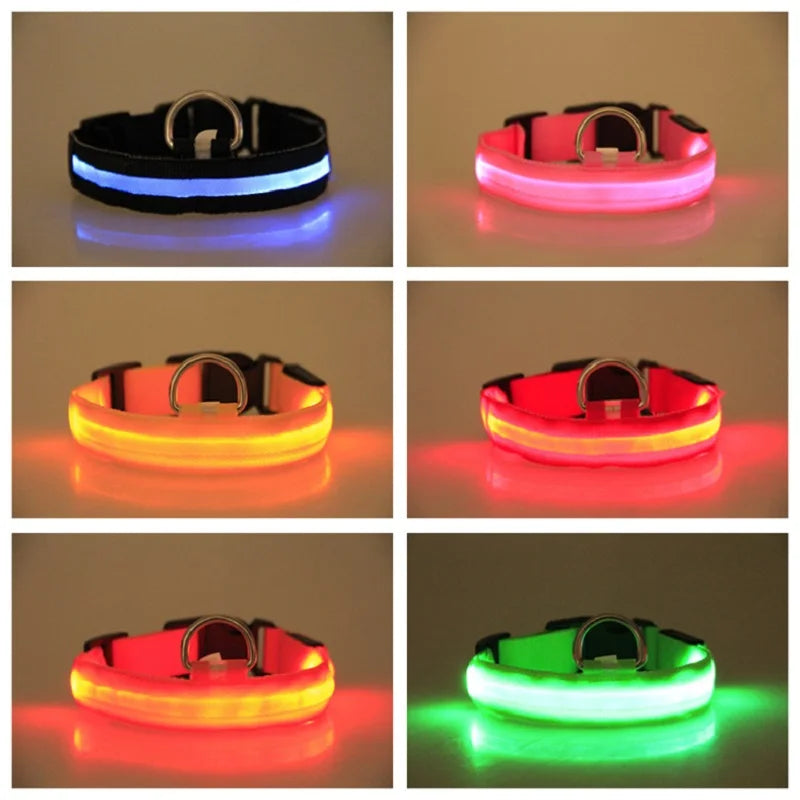 LED Dog Collar Dog Safety Night Light Flashing Necklace Fluorescent Collars Pet Supplies  collar LED lights up