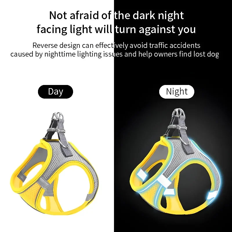Adjustable Pet Harness Leash Set for Small Pets