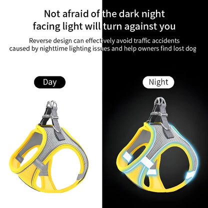 Adjustable Pet Harness Leash Set for Small Pets