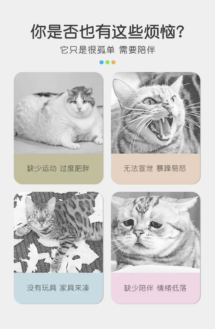 Pet Toy Catnip Mice Cats Toys Fun Plush Mouse Cat Toy For Kitten Colorful Cute Plush Interactive False Mouse Pet Cat Accessories