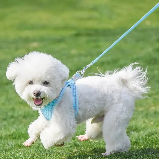 Adjustable Pet Harness Leash Set for Small Pets
