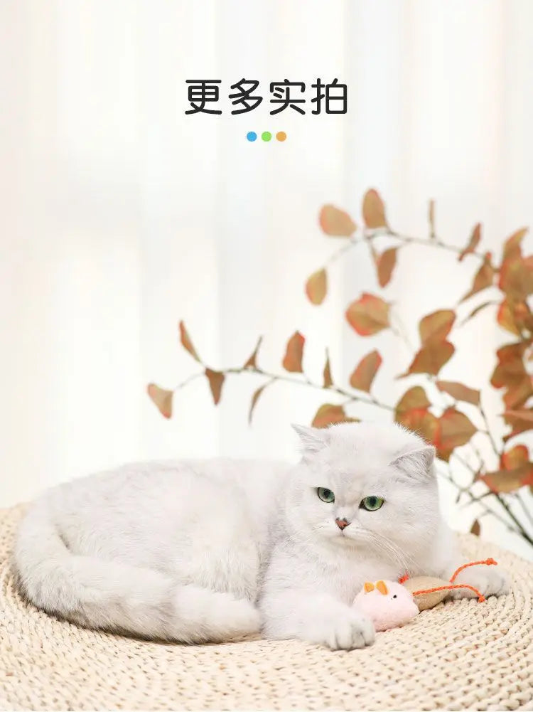 Pet Toy Catnip Mice Cats Toys Fun Plush Mouse Cat Toy For Kitten Colorful Cute Plush Interactive False Mouse Pet Cat Accessories