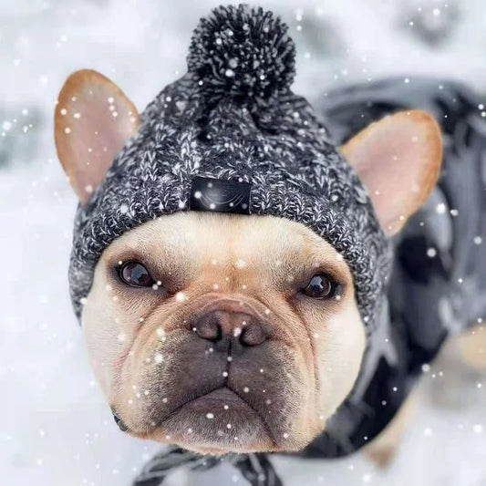 Winter Warm Dog Hats Windproof Knitting French Bulldog Hat For Dogs Chihuahua Hat Fluffy Ball Pet Hat Puppy Accessories