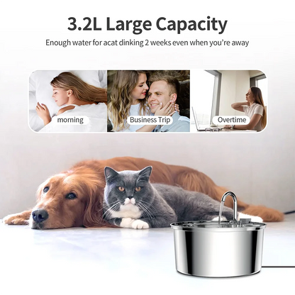 3.2L Stainless Steel Cat Water Dispenser With Quiet Water Pump Filter Pet Drink Feeder For Cats Dogs Drinking Fountain Bowl