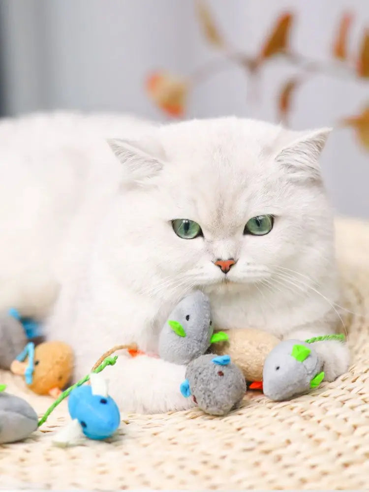 Pet Toy Catnip Mice Cats Toys Fun Plush Mouse Cat Toy For Kitten Colorful Cute Plush Interactive False Mouse Pet Cat Accessories