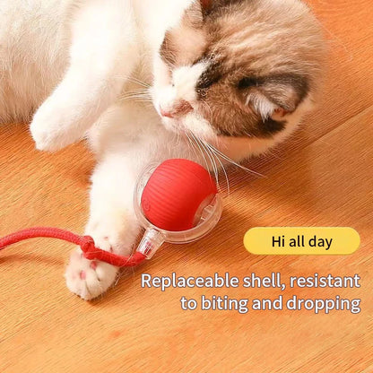 Interactive Cat Toy Ball Super Drive Cat Rolling Balls with Bird Chirping Motion Activated Sensor Pet Kitten Teaser Game Toys