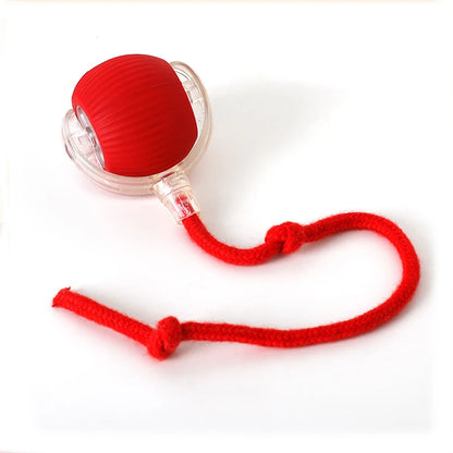Interactive Cat Toy Ball Super Drive Cat Rolling Balls with Bird Chirping Motion Activated Sensor Pet Kitten Teaser Game Toys