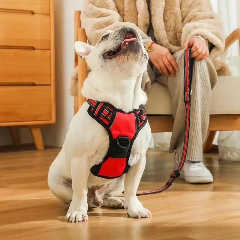Pet Dog Harness Reflective Adjustable Breathable Vest Chest Strap for Small Medium Big Dogs Cats Collar Harness Dog Accessoires
