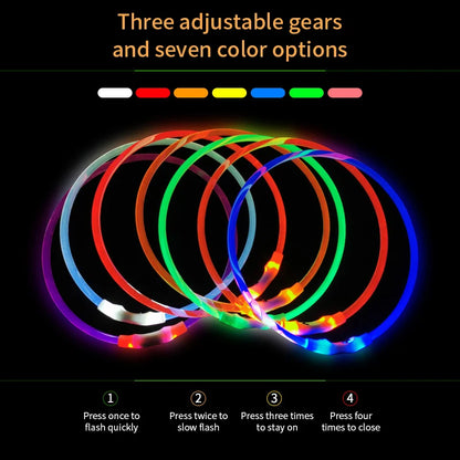 Led Dog Collar Luminous Usb Cat Dog Collar 3 Modes Led Light Glowing Loss Prevention LED Collar For Dogs Pet Dog Accessories