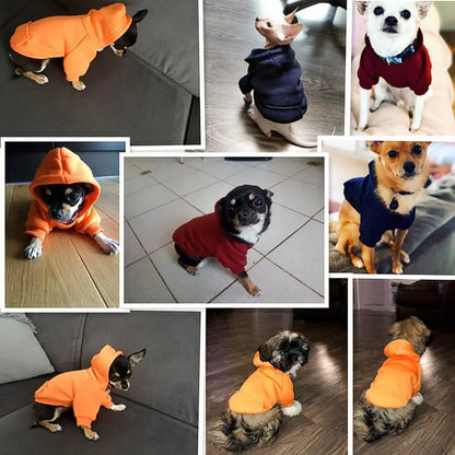 Puppy Pet Hooded Sweatshirt Autumn Winter Two-legged Pocket Cat Dog Clothes Soft Warm Dog Clothing