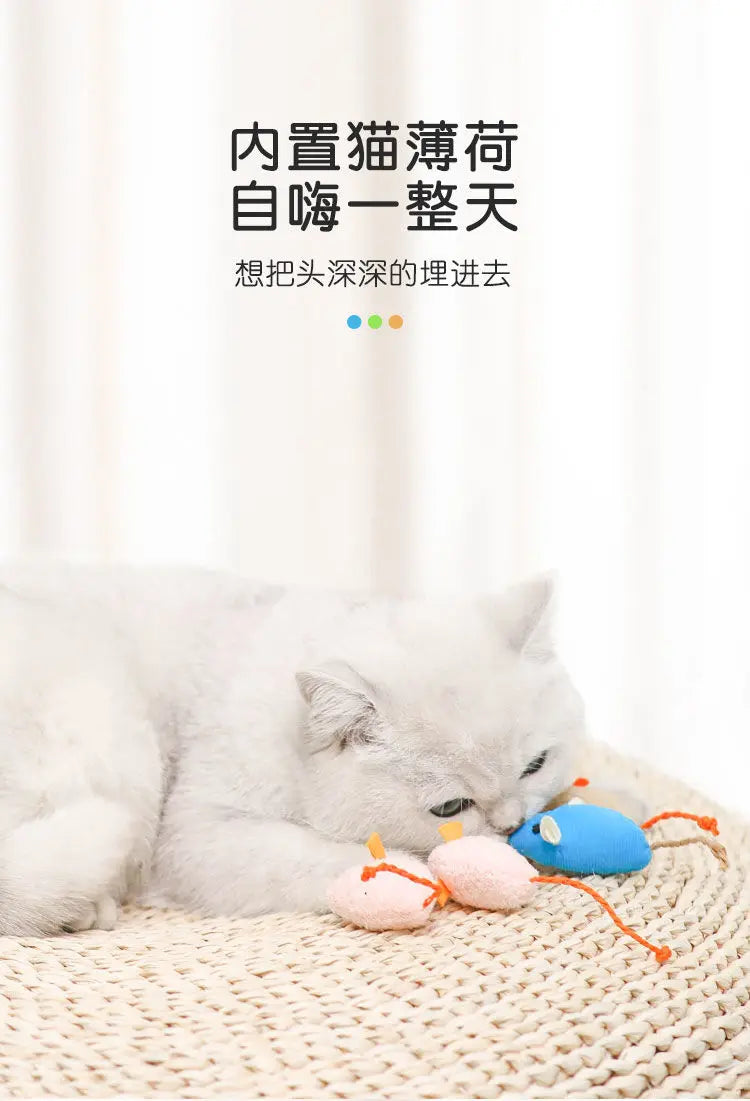 Pet Toy Catnip Mice Cats Toys Fun Plush Mouse Cat Toy For Kitten Colorful Cute Plush Interactive False Mouse Pet Cat Accessories