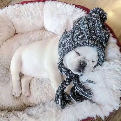 Winter Warm Dog Hats Windproof Knitting French Bulldog Hat For Dogs Chihuahua Hat Fluffy Ball Pet Hat Puppy Accessories