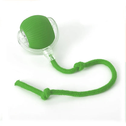 Interactive Cat Toy Ball Super Drive Cat Rolling Balls with Bird Chirping Motion Activated Sensor Pet Kitten Teaser Game Toys