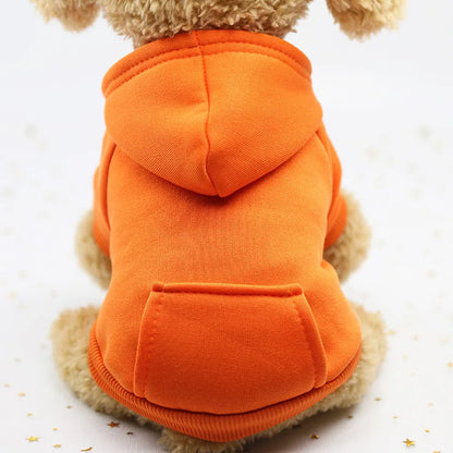 Puppy Pet Hooded Sweatshirt Autumn Winter Two-legged Pocket Cat Dog Clothes Soft Warm Dog Clothing