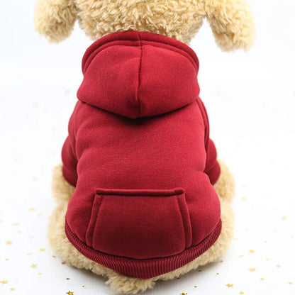 Puppy Pet Hooded Sweatshirt Autumn Winter Two-legged Pocket Cat Dog Clothes Soft Warm Dog Clothing