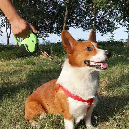 3 Meters 5 Meters Retractable Dog Leash Pet Leash Traction Rope Belt Automatic Flexible Leash For Small Medium Large Dog Product